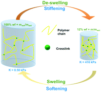 Graphical abstract: Scaling laws to predict humidity-induced swelling and stiffness in hydrogels