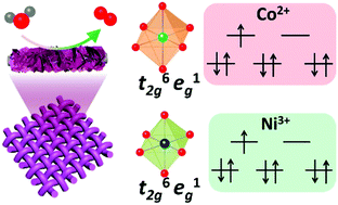 Graphical abstract: Spin state engineering of spinel oxides by integration of Cr doping and a p–n junction for water oxidation