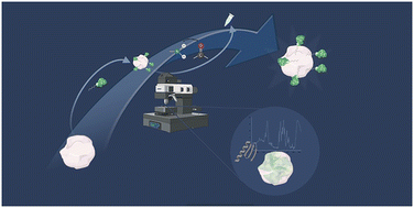 Graphical abstract: FTIR microscopy for direct observation of conformational changes on immobilized ω-transaminase: effect of water activity and organic solvent on biocatalyst performance