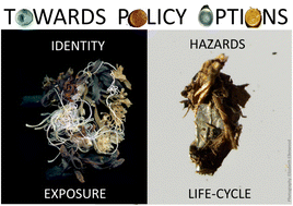 Graphical abstract: Assessing and managing environmental hazards of polymers: historical development, science advances and policy options