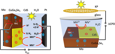 Graphical abstract: Effect of charge selective contacts on the quasi Fermi level splitting of CuGa3Se5 thin film photocathodes for hydrogen evolution and methylviologen reduction