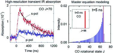 Graphical abstract: Rotational energy transfer kinetics of optically centrifuged CO molecules investigated through transient IR spectroscopy and master equation simulations