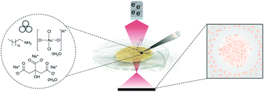 Graphical abstract: Direct observation by high resolution transmission electron microscopy of gold(iii) particle transformation during aging reduction reaction