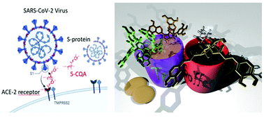 Graphical abstract: Investigating the interaction between dietary polyphenols, the SARS CoV-2 spike protein and the ACE-2 receptor