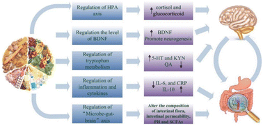 Graphical abstract: Dietary intervention in depression – a review