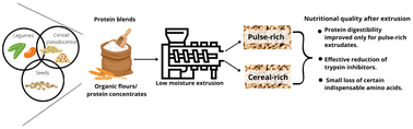 Graphical abstract: Protein blends and extrusion processing to improve the nutritional quality of plant proteins