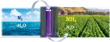 Graphical abstract: Green chemical pathway of plasma synthesis of ammonia from nitrogen and water: a comparative kinetic study with a N2/H2 system