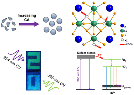 Graphical abstract: Defect-assisted dynamic multicolor modulation in KLu3F10:Tb crystals for anti-counterfeiting