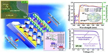 Graphical abstract: Enhanced photovoltaic output of bifacial perovskite solar cells via tailoring photoelectric balance in rear window layers with 1T-WS2 nanosheet engineering