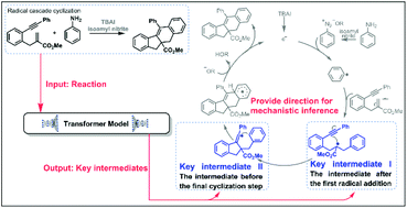 Graphical abstract: Providing direction for mechanistic inferences in radical cascade cyclization using a Transformer model