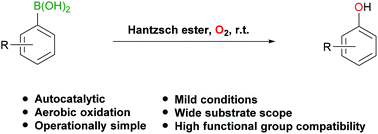 Graphical abstract: Autocatalytic aerobic ipso-hydroxylation of arylboronic acid with Hantzsch ester and Hantzsch pyridine