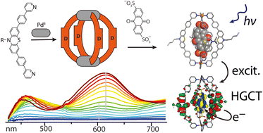 Graphical abstract: Photoinduced host-to-guest electron transfer in a self-assembled coordination cage