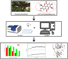 Graphical abstract: 3,4,3′-Tri-O-methylellagic acid as an anticancer agent: in vitro and in silico studies