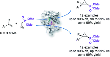 Graphical abstract: Highly stereoselective and enantiodivergent synthesis of cyclopropylphosphonates with engineered carbene transferases