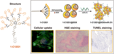 Graphical abstract: Amphiphilic phosphorous dendron micelles co-deliver microRNA inhibitor and doxorubicin for augmented triple negative breast cancer therapy