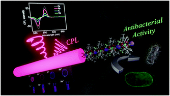 Graphical abstract: Chiral nanostructures derived from europium(iii) complexes for enhanced circularly polarised luminescence and antibacterial activity