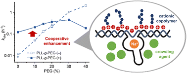 Graphical abstract: Cationic copolymer and crowding agent have a cooperative effect on a Na+-dependent DNAzyme