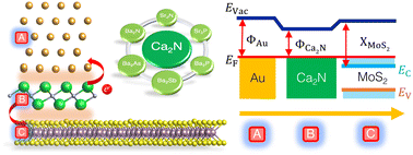 Graphical abstract: Designing barrier-free metal/MoS2 contacts through electrene insertion