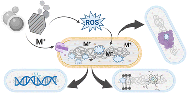 Graphical abstract: Modern materials provoke ancient behavior: bacterial resistance to metal nanomaterials