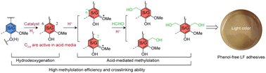 Graphical abstract: Hydrodeoxygenation of condensed lignins followed by acid-mediated methylolation enables preparation of lignin-based wood adhesives