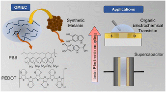 Graphical abstract: Melanin/PEDOT:PSS blend as organic mixed ionic electronic conductor (OMIEC) for sustainable electronics