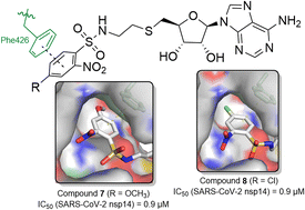 Graphical abstract: N-Arylsulfonamide-based adenosine analogues to target RNA cap N7-methyltransferase nsp14 of SARS-CoV-2