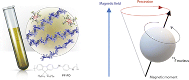 Graphical abstract: Carrier density and delocalization signatures in doped carbon nanotubes from quantitative magnetic resonance