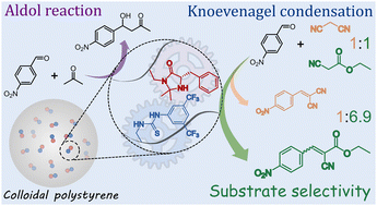 Graphical abstract: Colloidal polystyrene-supported cooperative imidazolidinone/thiourea catalysts for efficient aldol reaction and substrate-selective Knoevenagel condensation in water