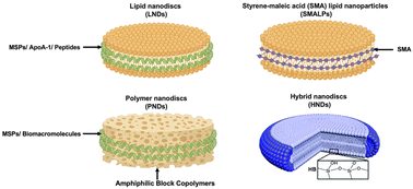 Graphical abstract: Designing nanodiscs as versatile platforms for on-demand therapy