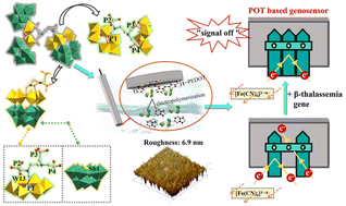 Graphical abstract: A multifunctional organophosphonic ligand-templated poly(polyoxotungstate) with potential in building a genosensor for thalassemia gene detection