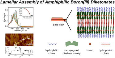 Graphical abstract: Lamellar assembly and nanostructures of amphiphilic boron(iii) diketonates through suitable non-covalent interactions