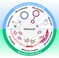 Graphical abstract: Polymeric materials for ultrasound imaging and therapy