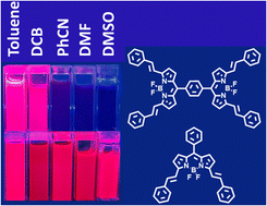 Graphical abstract: Symmetry breaking charge transfer leading to charge separation in a far-red absorbing bisstyryl-BODIPY dimer