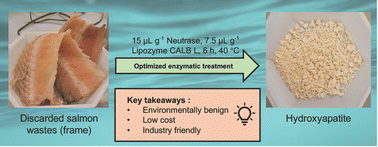 Graphical abstract: Isolation of hydroxyapatite from Atlantic salmon processing waste using a protease and lipase mixture