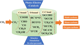 Graphical abstract: Intermediates and their conversion into highly selective multicarbons in photo/electrocatalytic CO2 reduction reactions