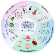 Graphical abstract: Engineered cyclodextrin-based supramolecular hydrogels for biomedical applications