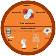 Graphical abstract: Recent advances in development of glucose nanosensors for cellular analysis and other applications