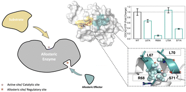 Graphical abstract: Decoding allosteric landscapes: computational methodologies for enzyme modulation and drug discovery