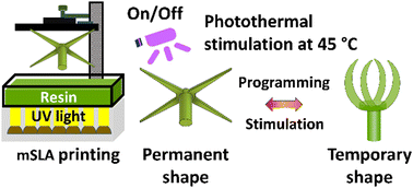 Graphical abstract: 3D-printed photothermal-responsive shape-memory polymer for soft robotic applications