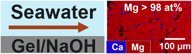 Graphical abstract: Flow-gel approach enables rapid extraction of pure magnesium phase from seawater
