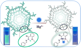 Graphical abstract: Hydrazone-linked covalent organic frameworks for fluorescence detection of Hg2+