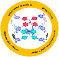 Graphical abstract: Recent progress using novel tetraphenylethylene-based macrocyclic hosts in water