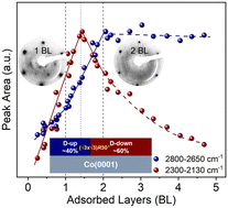 Graphical abstract: Intact water adsorption on Co(0001) at 100 K: transition from ordered bilayer to amorphous ice structures