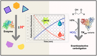 Graphical abstract: Fluorescence-based pH-shift assay with wide application scope for high-throughput determination of enzymatic activity in enzyme mining and engineering