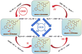 Graphical abstract: Transition metal atoms embedded in monolayer C13N3 as OER/ORR bifunctional electrocatalysts