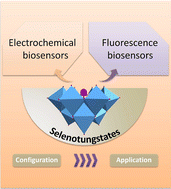 Graphical abstract: Recent research progress of selenotungstate-based biomolecular sensing materials