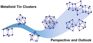 Graphical abstract: Overview and perspectives on metalloid tin cluster chemistry