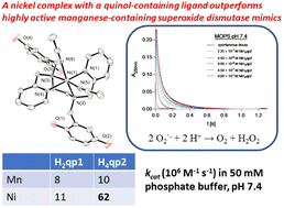 Graphical abstract: Nickel(ii) complexes with covalently attached quinols rely on ligand-derived redox couples to catalyze superoxide dismutation