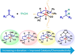 Graphical abstract: Catalysis activity and chemoselectivity control with the trans ligand in Ru–H pincer complexes