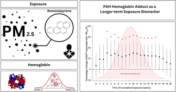 Graphical abstract: Benzo[a]pyrene and phenanthrene hemoglobin adducts as biomarkers of longer-term air pollution exposure
